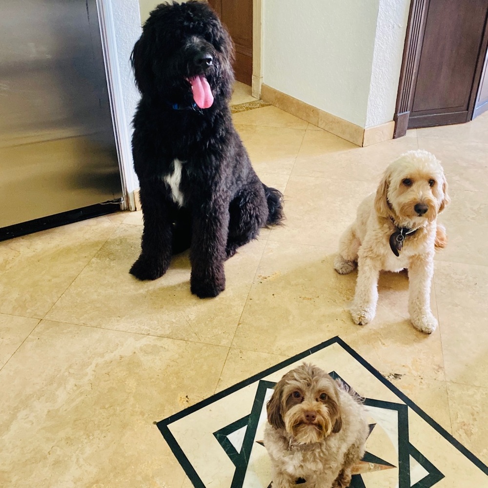 Meet your Posher, Karla